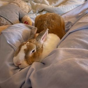 Meet your Posher, Robyn